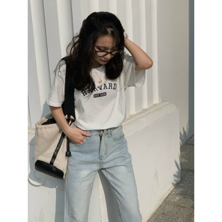 Áo Pull Harvard ngắn tay AP454 1994closet