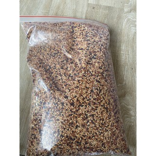 2 kg Hạt cỏ thái cho chim cu ăn cực sung, đảm bảo nhiều chất dinh dưỡng