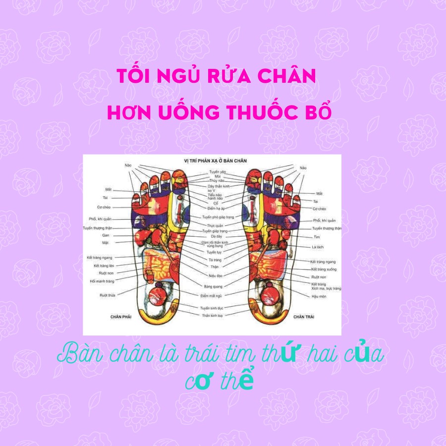 Ngâm chân thảo dược 🔸CAP CẤP🔸 thảo dược nguyên liệu từ thiên nhiên bí quyết sống khỏe mỗi ngày