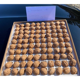 【HOT】Nhân Hạt Óc Chó Mourad's Úc - 100GR_50GR