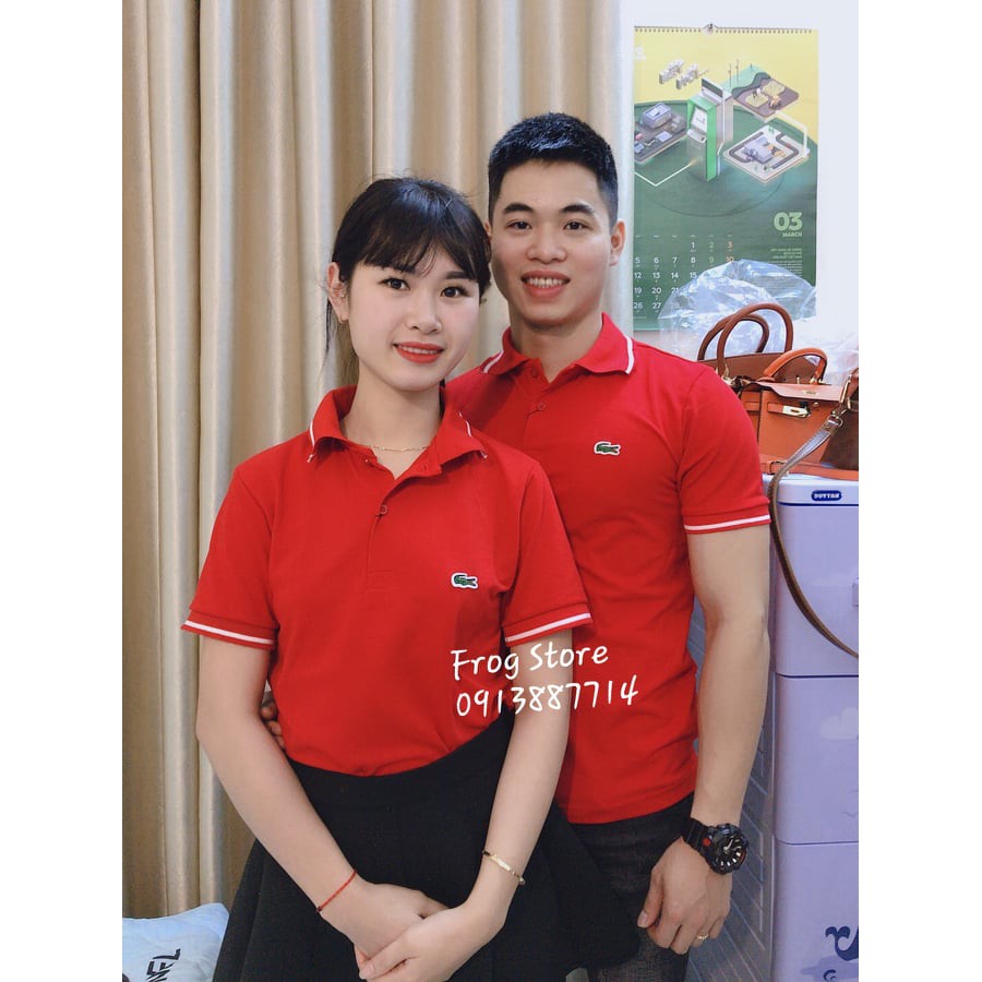 Áo Polo Lacoste/ Áo phông nam có cổ | BigBuy360 - bigbuy360.vn