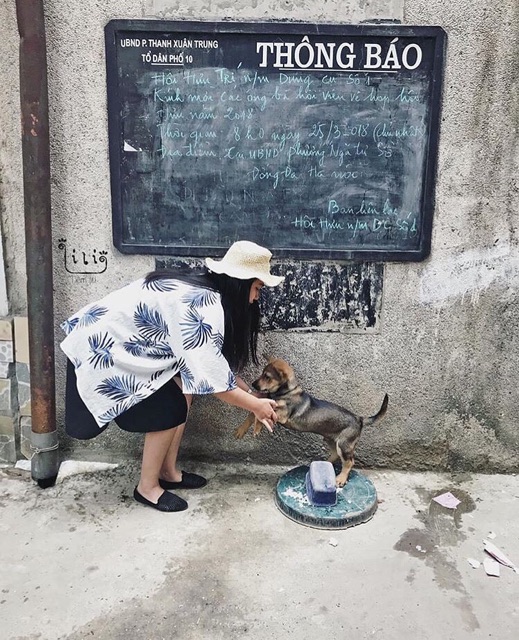 KIMONO HỌA TIẾT LÁ  XANH | BigBuy360 - bigbuy360.vn