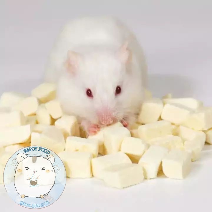Đậu hủ sấy lạnh Hamster
