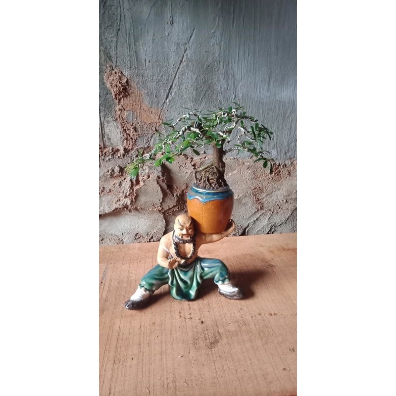 Chậu tượng bonsai Mini số 1