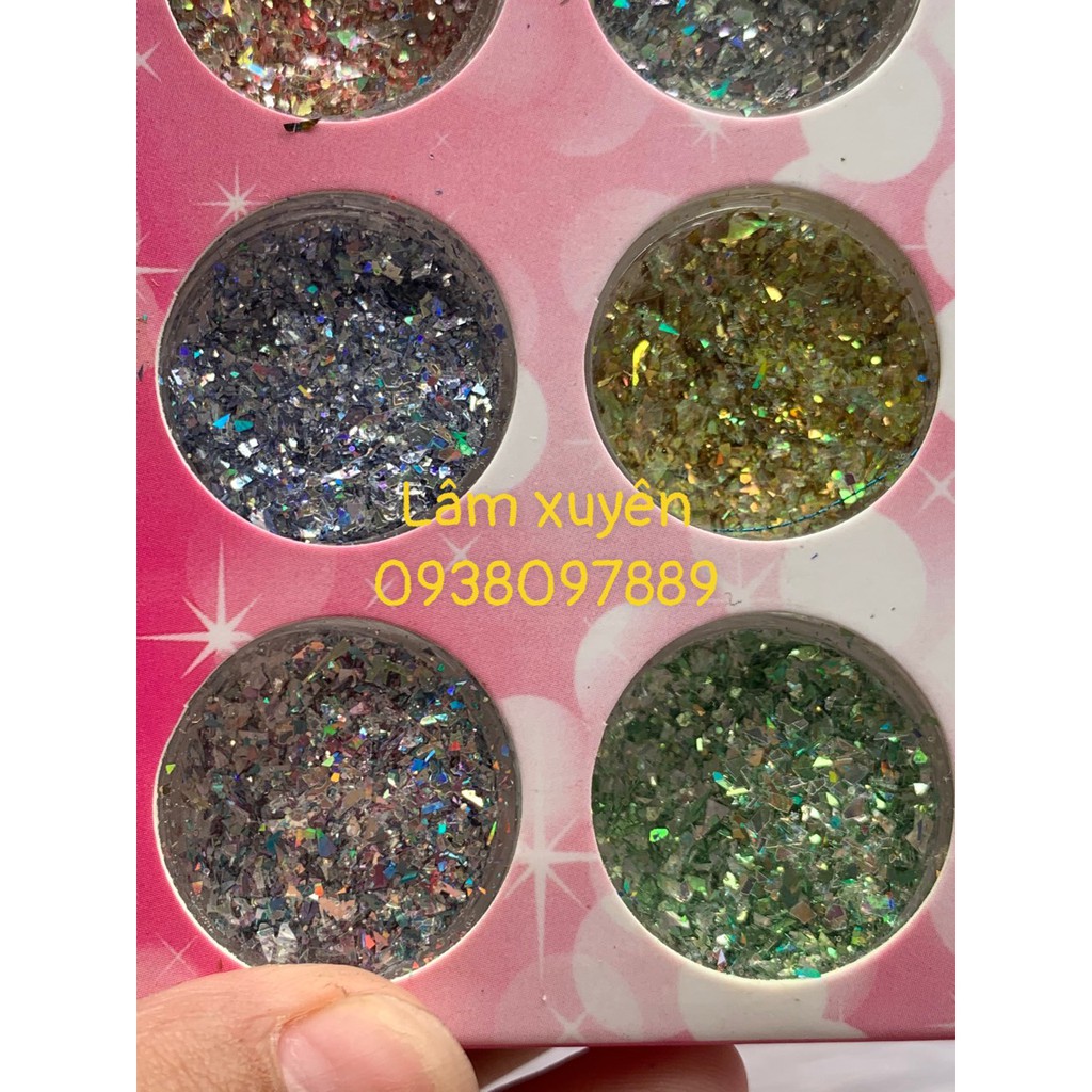 Nhũ vẫy cá❌GIÁ RẺ❌ 1 set 12 ô, tương ứng 12 màu, đắp gel, đấp ẩn gel, tạo điểm nhấn trang trí nail
