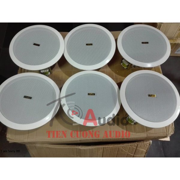 Loa Âm Trần 10W APU  Tiếng Bass Sâu