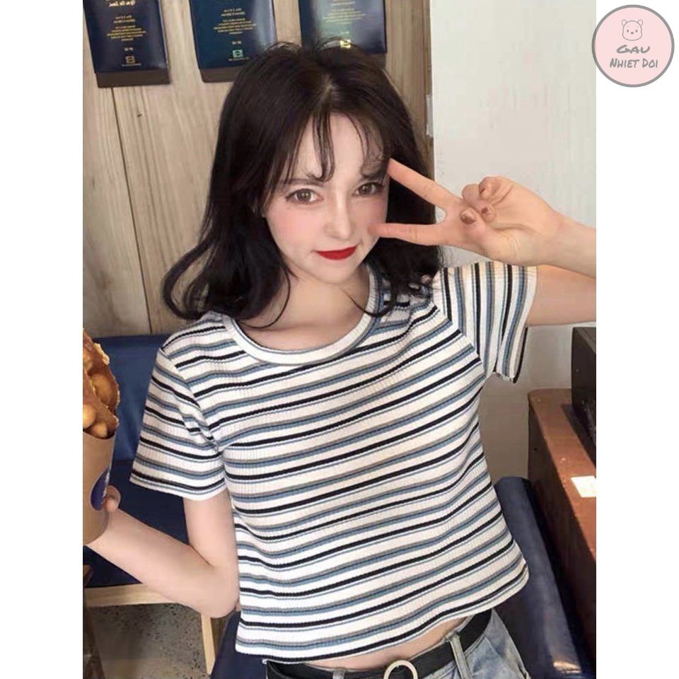 Áo Phông Nữ Kẻ Cộc Tay Cổ Tròn Áo Thun Kẻ Ngang Thời Trang Hè Full 04 Màu Trắng/Xanh/Đỏ/Cam