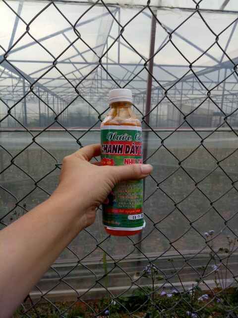 Nước cốt Chanh dây Đà Lạt chai 500ml