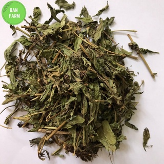 Cỏ ngọt loại 1 chỉ gồm lá siêu thơm ngọt