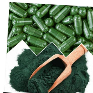 Viên Nang Spirulina Chuyên Dụng Chất Lượng Cao