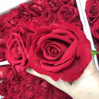 Sỉ đầu bông hồng lụa cao cấp hàng đẹp