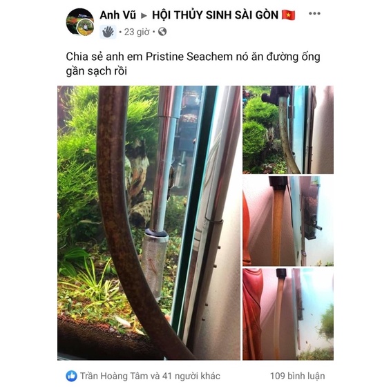 [250ML] SEACHEM PRISTINE | Vi Sinh Phân Huỷ Tự Nhiên Giúp Xử Lý Chất Cặn Hữu Cơ Hồ Cá Tép, Thuỷ Sinh