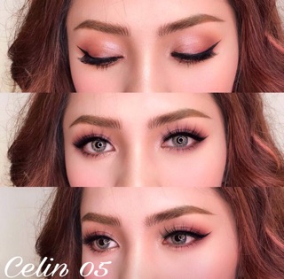Mi chồn Celin