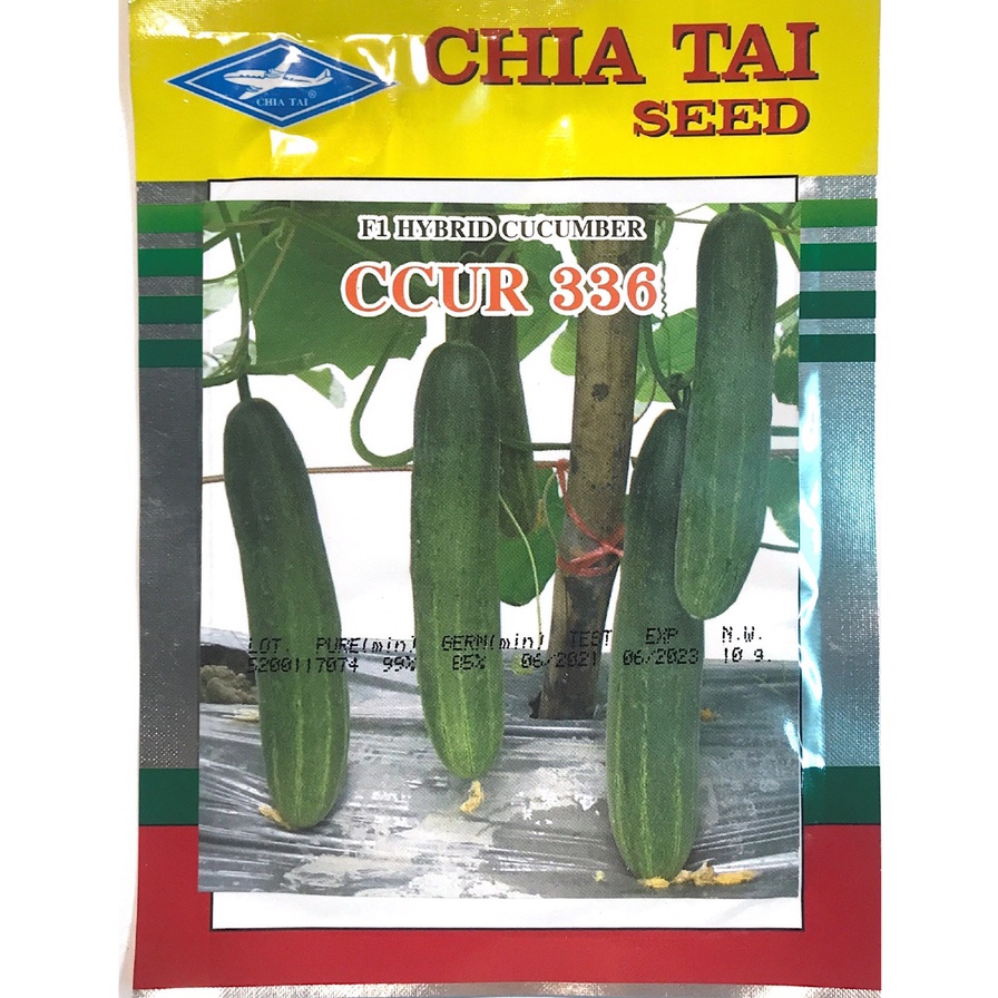 Dưa Chuột F1 336 (dưa chuột Thái) – 25 Hạt,2G