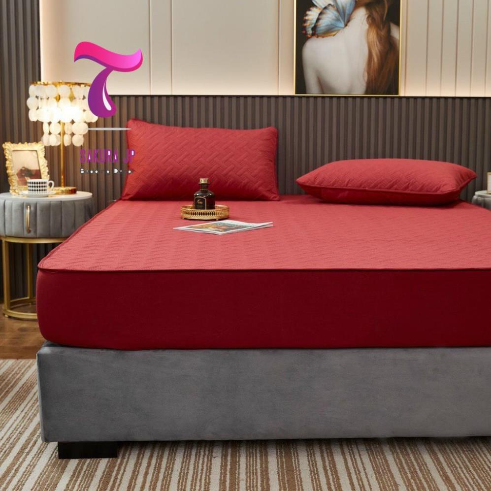 HÀNG MỚI- Ga Gối Chống Thấm Cotton Trần Bông Ép Nhiệt Cao Cấp - Ga Cotton Chống Thấm | BigBuy360 - bigbuy360.vn