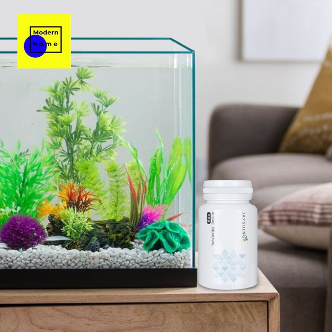 indoor bowl fish bowl Bột/ Viên diệt tảo và rong rêu cho hồ cá