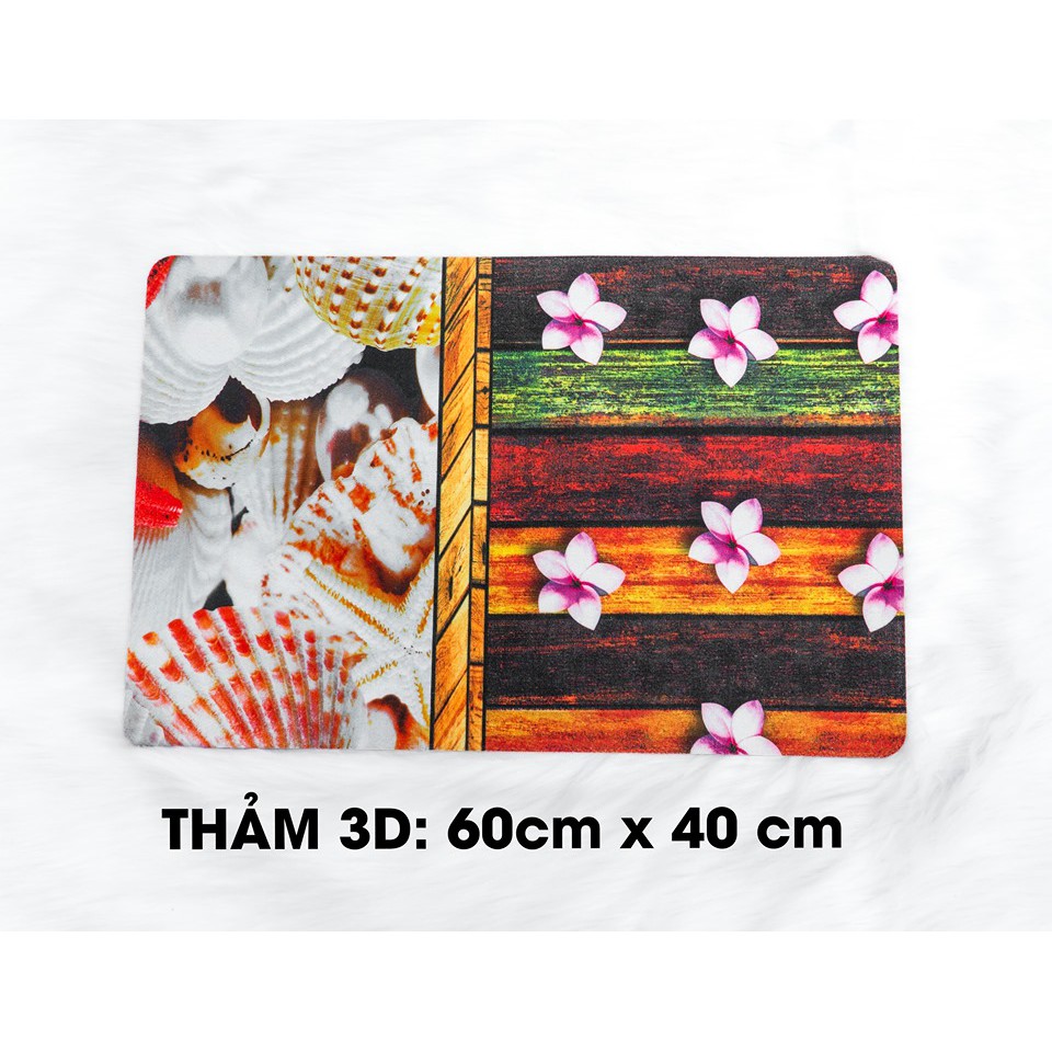 Thảm lau chân hoạ tiết 3D độc lạ thấm hút nước tốt kích thước 60cm x 40cm