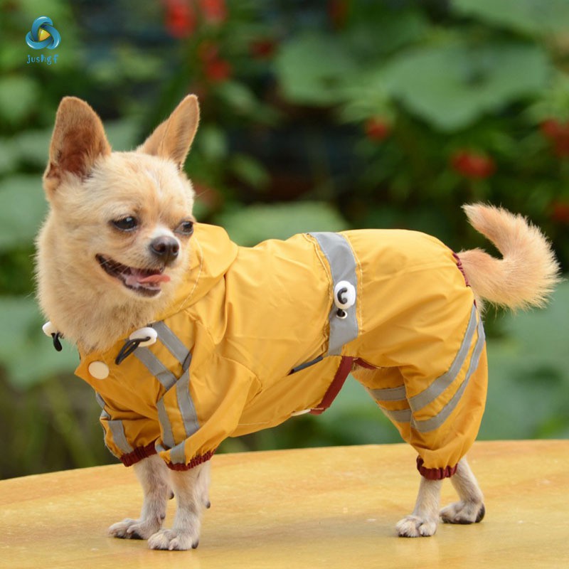 Áo mưa nhiều màu sắc dễ thương cho thú cưng