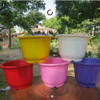 Combo 10 chậu nhựa trồng cây kèm quai treo