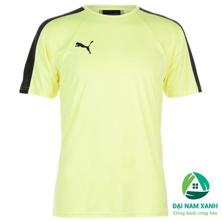 Áo thun thể thao nam Puma Evo Training (màu Yellow/Black)