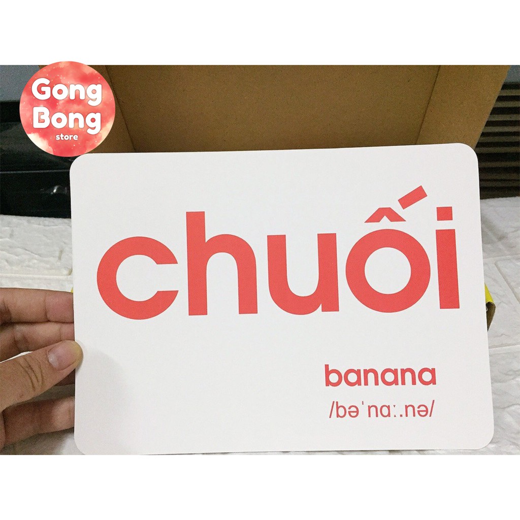 Bộ thẻ học Flashcard thông minh Glenn Doman 14 chủ đề Thế giới xung quanh song ngữ cho bé khổ A5 Gong Bong store
