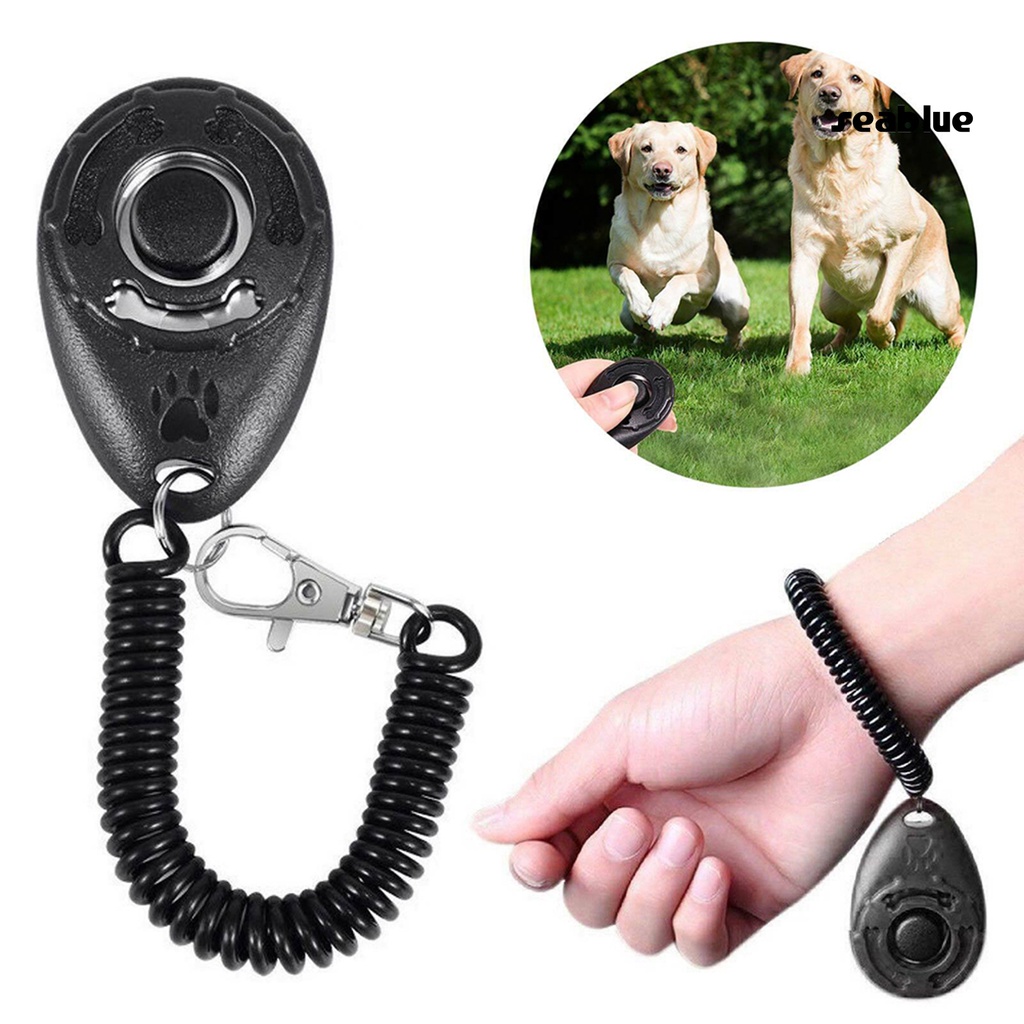 Dụng cụ hỗ trợ huấn luyện thú cưng hình oval bằng ABS