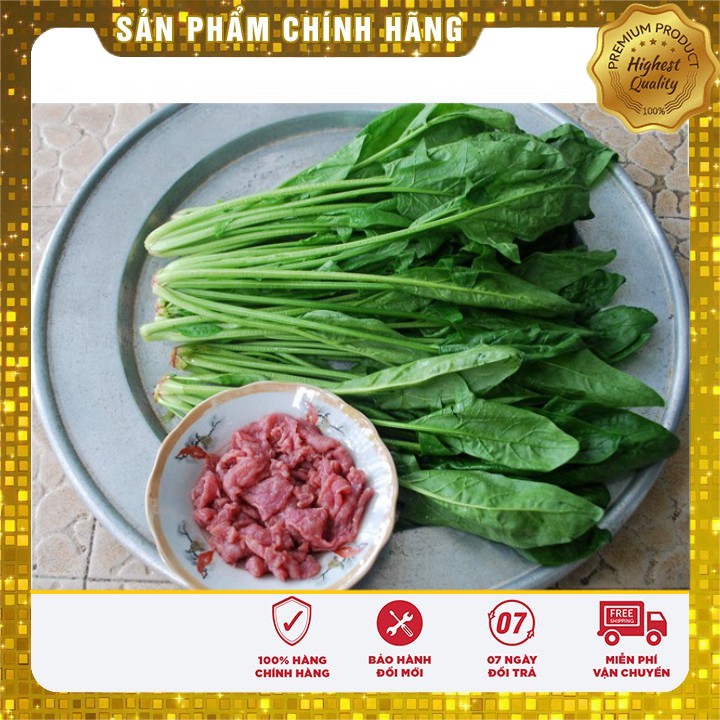 Hạt giống Rau Chân Vịt ( Cải Bó Xôi) 20 gram 3000-4000 hạt