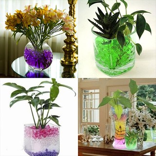 Bộ 16 Gói Hạt Tinh Thể Trồng Cây Trang Trí Không Cần Đất