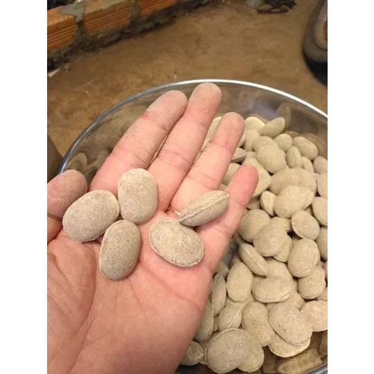 PHÂN TAN CHẬM QUẢ BÀNG NURSERYACE  12-6-6-2 NHẬT BẢN