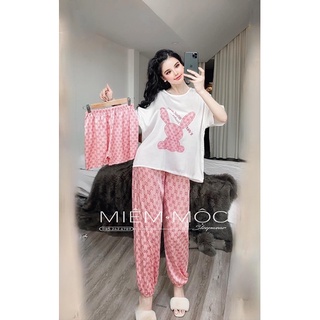 SET 3 MÓN THỎ G C CAO CẤP