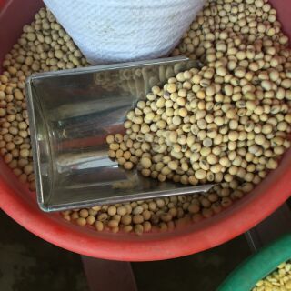 Đỗ tương 1kg