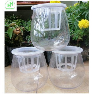 ComBo 3 Chậu Nhựa Trồng Cây Thủy Sinh, Kích Thước 10x10x13Cm