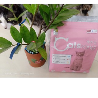 CATSRANG KITTEN 400G dành cho mèo con