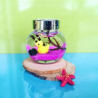 Set Tiny Tảo Cầu Nhật Bản - Marimo
