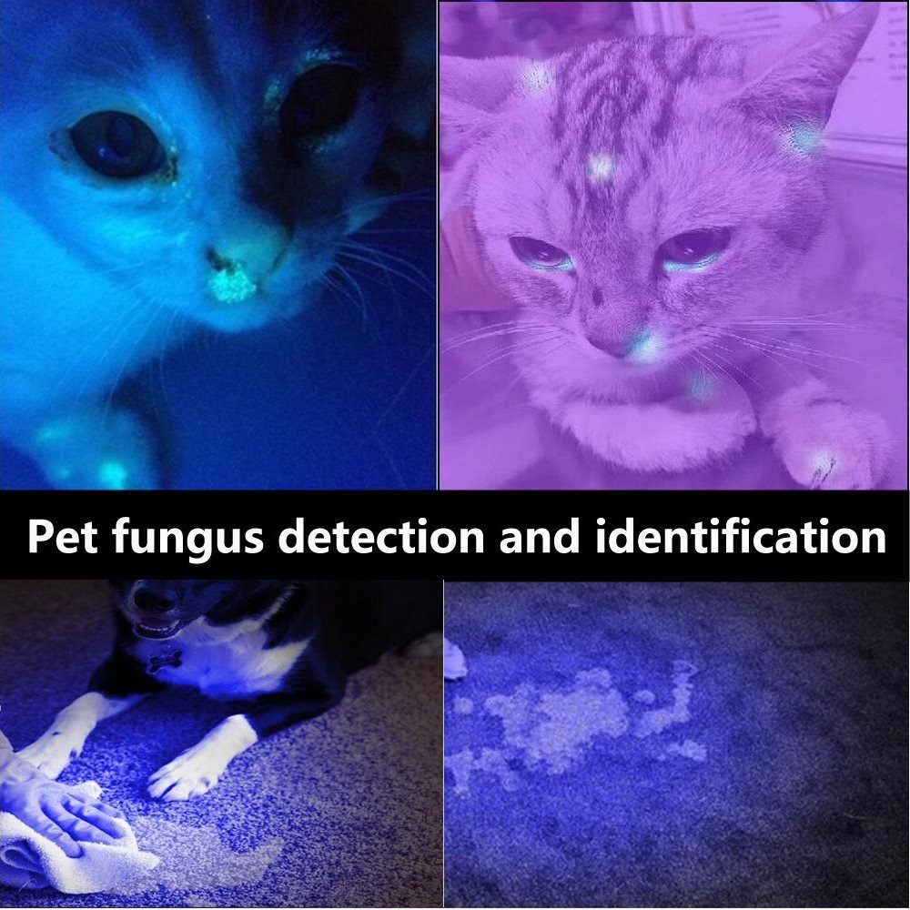 Đèn pin Alonefire UV LED 365nm SV18 12W tia cực tím có thể sạc lại