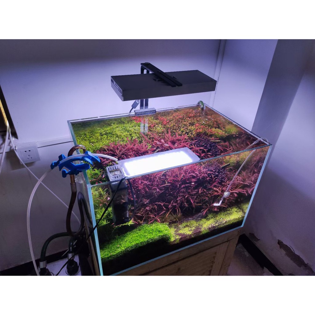 Đèn Led Thủy Sinh WRGBU SkyLed tank