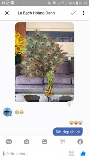 Bình hoa con công, cắm lông chim công