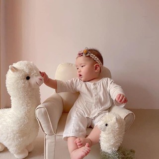 Thú bông Mipan