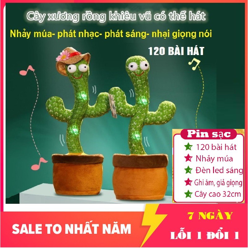 Cây Xương Rồng Nhảy Múa biết nói, sương rồng nhảy múa nhại giọng 120 bài hát sạc pin (Bản mới Tiếng Việt Hot 2021)