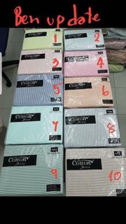Bộ drap cotton house ( 2 bao gối, 1 gối ôm, 1 drap)