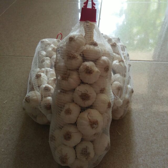 Tỏi Lý Sơn