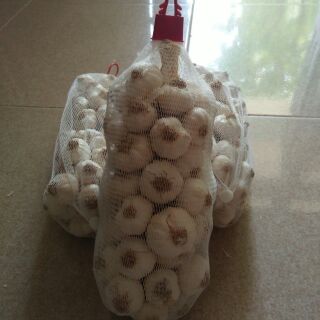 Tỏi lý sơn