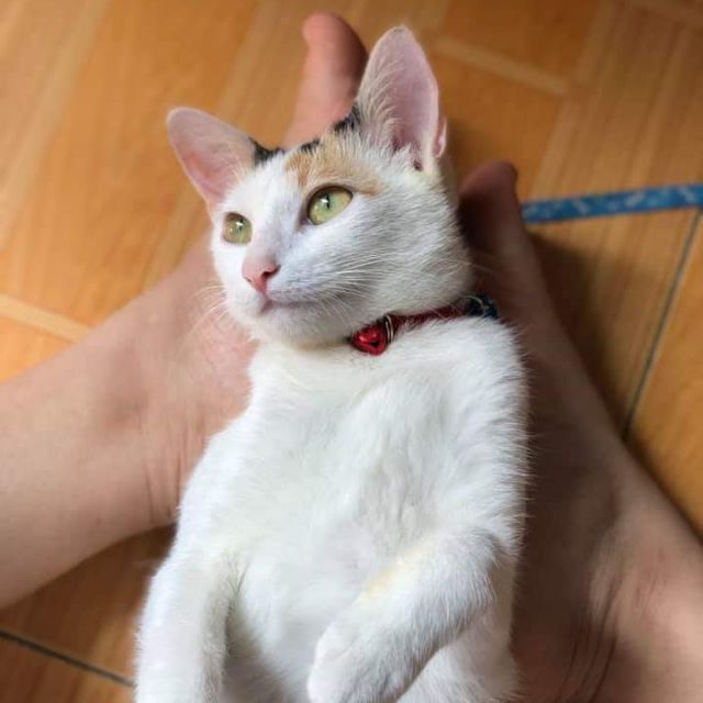 anhnhien2661, Cửa hàng trực tuyến | BigBuy360 - bigbuy360.vn