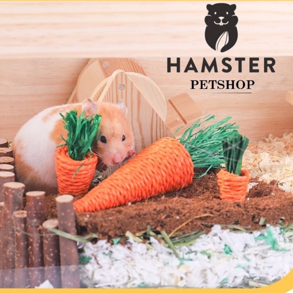 Cà rốt mài răng và trang trí chuồng cho Hamster