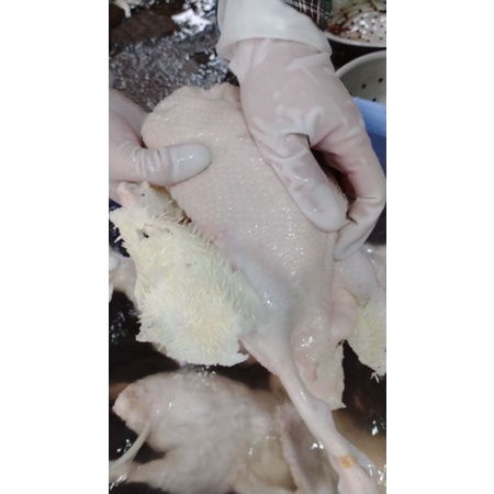 5KG Sáp Làm Lông Vịt