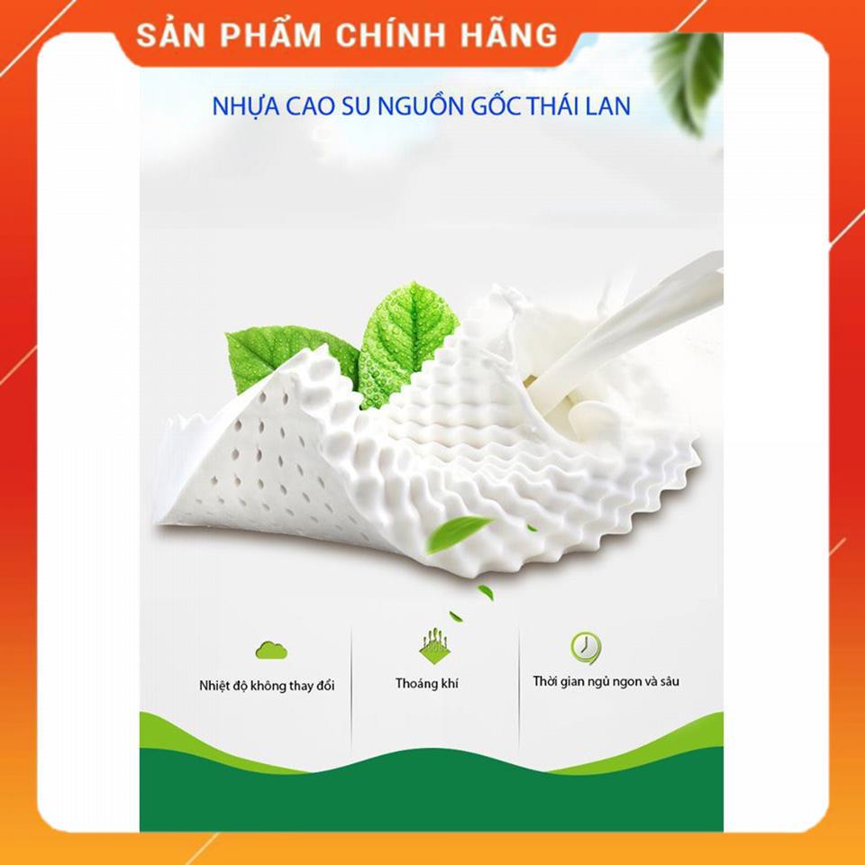 Gối cao su non thiên nhiên Ventry chính hãng cho người lớn kích thước 35x55cm MSP84478