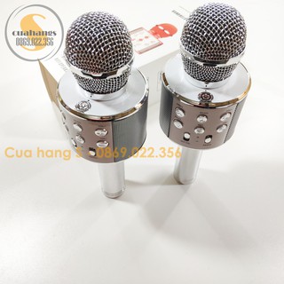 Mic hát Karaoke đa năng WS-858
