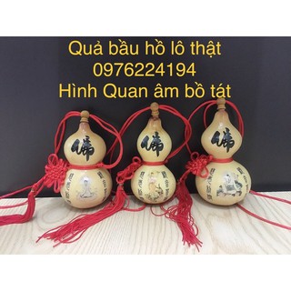 Quả bầu hồ lô cầu con, quả đã phơi khô