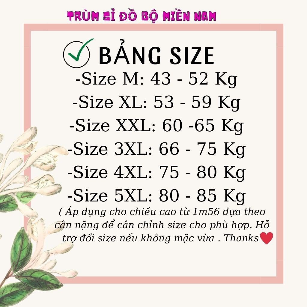 Đồ bộ nữ bigsize set ngố nữ bộ thun nữ set nữ bộ mặc nhà TRUMSI QL02 LỬNG THỎ SAU LƯNG