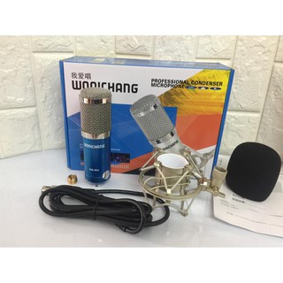 Mic Thu Âm Bm900 Waichang